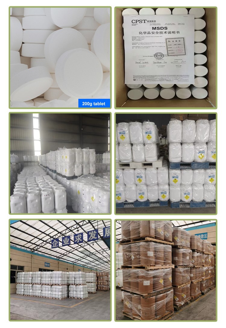 90% Chlorine Powder TCCA Chemical (2)