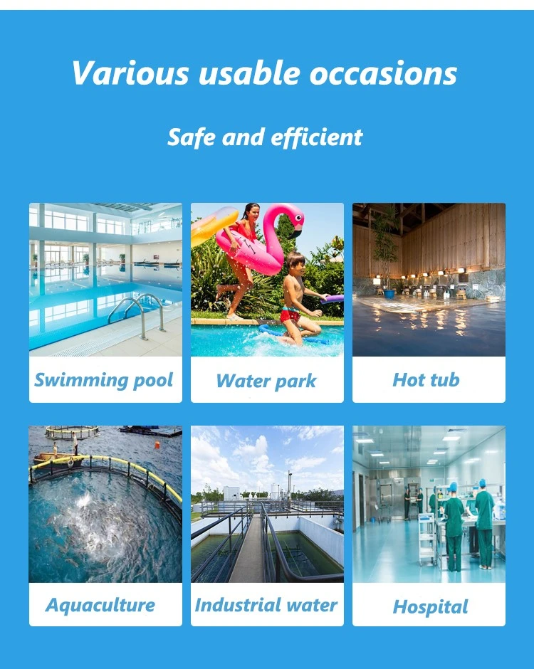 3 Inch Stabilized Chlorine Tablets In Swim (6) 3 Inch Stabilized Chlorine Tablets In Swim (6)