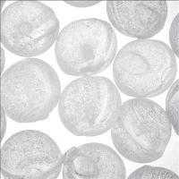 Vannbehandling 1mm 3mm 6mm 10mm 20mm Granular Siliphos Polyphosphate Crystal RO Antiscale Balls